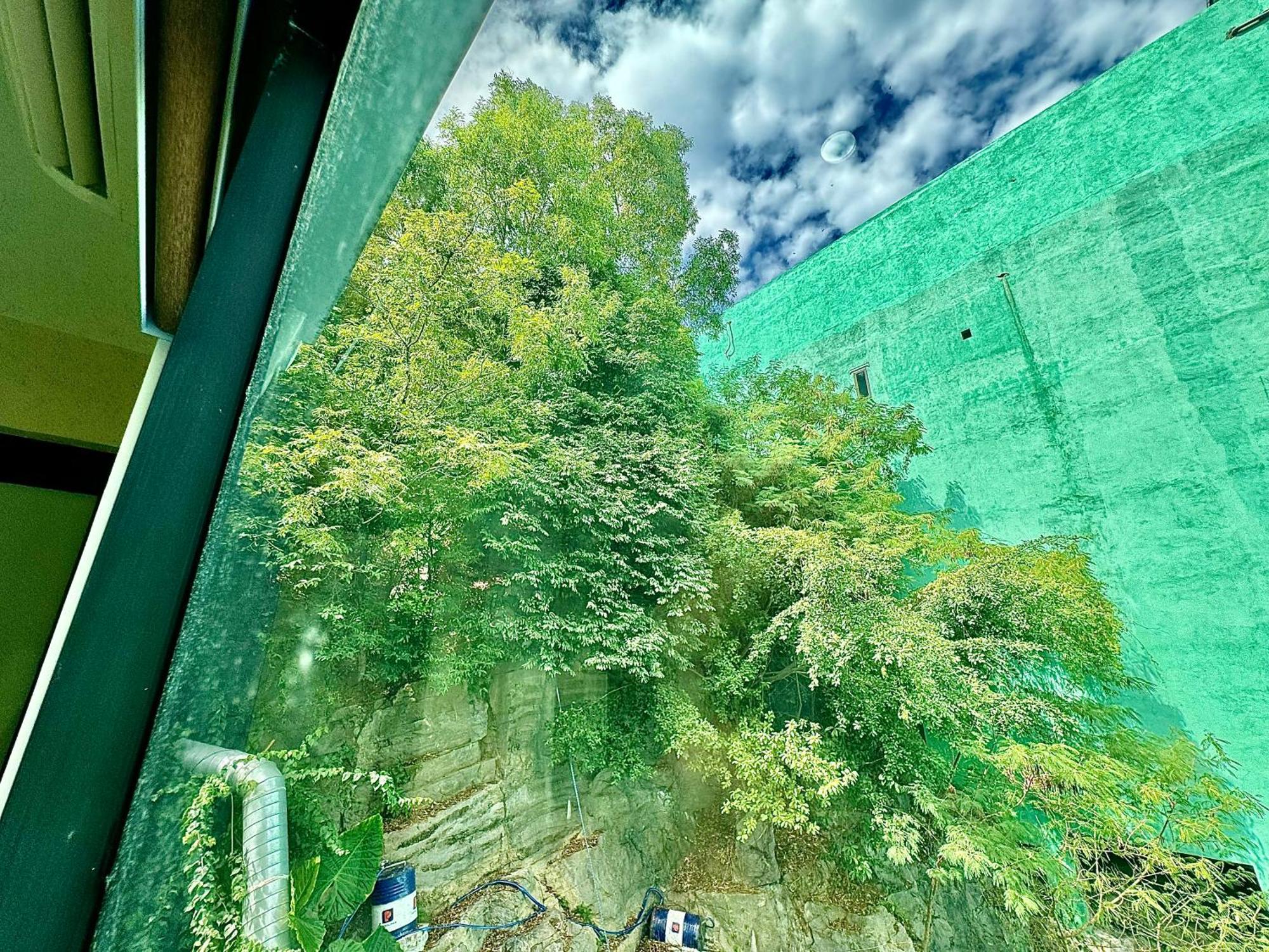 Sunflower Catba Hotel Dong Khe Sau Zewnętrze zdjęcie
